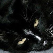 Moira O'Brien Malone's photo