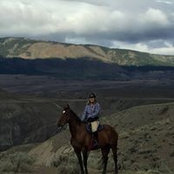 Jessica Hofer's photo