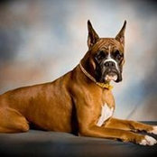 Photo de Darlyne Duffey