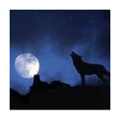 Larry Wright's photo