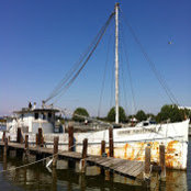 wes abell's photo