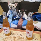 Caroline McKenna Masse's photo