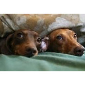 Cindi Duff's photo