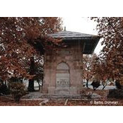 Ayse Yücel's photo