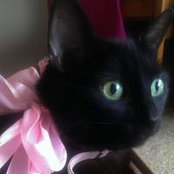 Susan Abela's photo