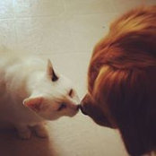 Deborah Lamb's photo
