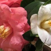 Teru Kassner's photo