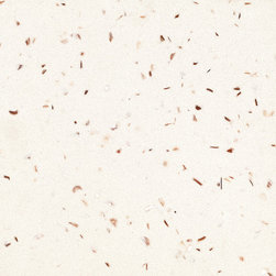QUARTZ COUNTER TOP AND FLOOR - Kitchen Countertops