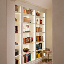 Bookshelves/art Niche