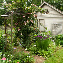 Vegetable Gardens