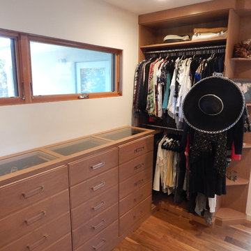 Walk In Display Closet
