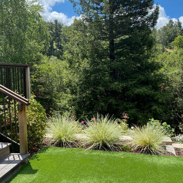 Orinda Moder 'Mt. Estate'