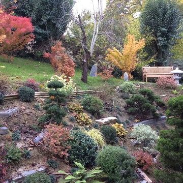 Fusaï - jardin japonais