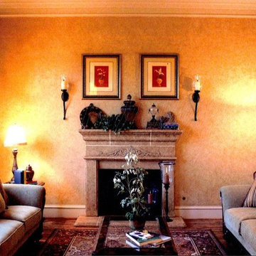 Model Home Living Rooms
