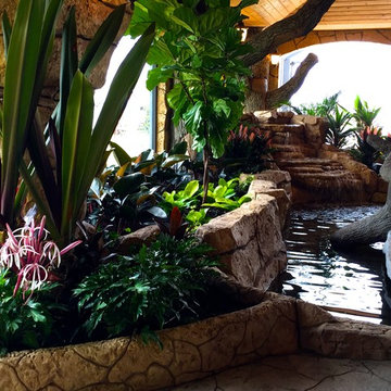 Tropical front & backyard landscapes....Palms & Color