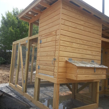 Extra Large Chicken Coop Combo