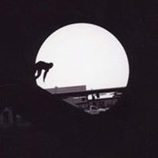 Warren Spangenbergさんの写真