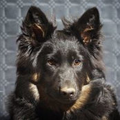Karin Lange's photo