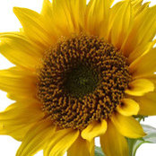 Emily Jodka's photo