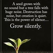 Heather Sapp's photo