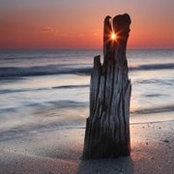 Jessica Bran's photo