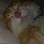 Dawn Ashcroft's photo