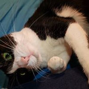 Shelly Iversen's photo