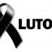 Pedro Simoes's photo
