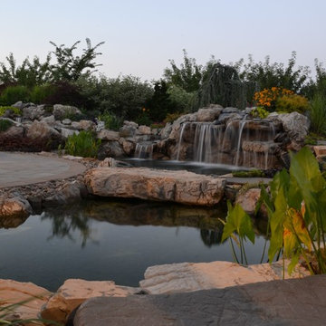 Landscape Planning Should Begin in Winter (Long Island/NY):