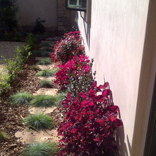 Landscape Ideas