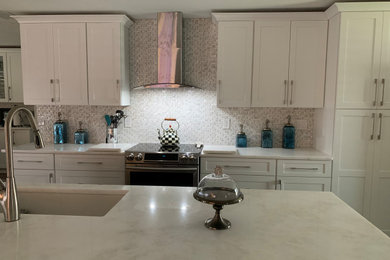 Transitional kitchen photo in Tampa