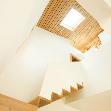 Maison SJVD