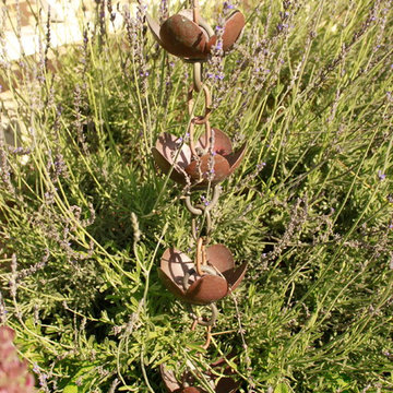 Mar Vista CA Native Garden