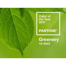 PANTONE - 2017 Color of the Year