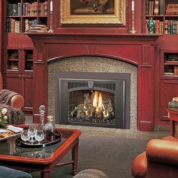 430 Gas Fireplace Insert