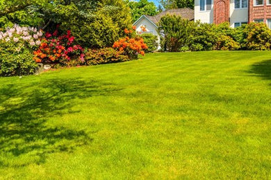 Inspiration for a landscaping in Other.