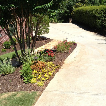 Annual Beds