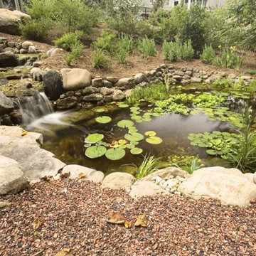 Ponds