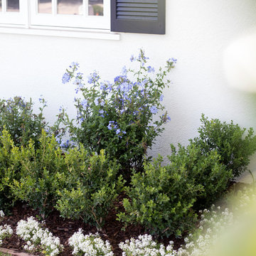 Romantic Garden in the Pacific Palisades, CA