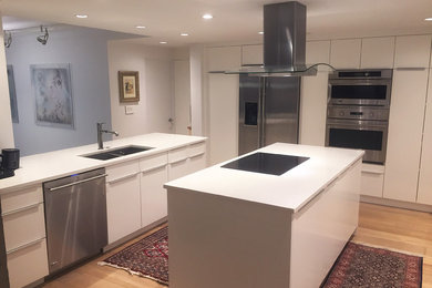 Inspiration for a mid-sized contemporary light wood floor enclosed kitchen remodel in Denver with a double-bowl sink, white cabinets, stainless steel appliances and an island