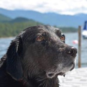 Beverly Arnburg's photo