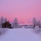 Teri Lynn Wheeler Hellman III's photo