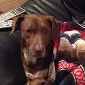 Paul Coughenour's photo