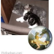 Foto von Kim Rogers