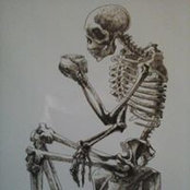 Tammy Maddalena's photo