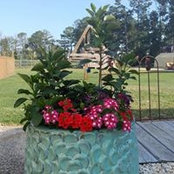 Bonnie Thomas Beebe's photo