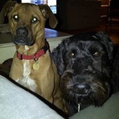 Lynn Bury's photo
