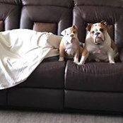 Tracy Johnson's photo