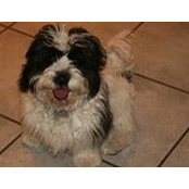 J Weisel's photo