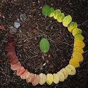 Trúc Lam Phạm Đình's photo